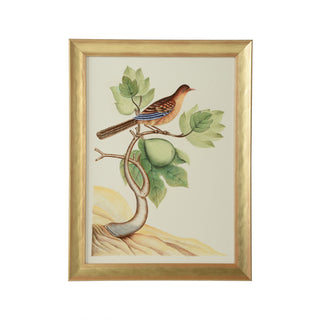 Hand-Painted Watercolor Birds by Bill Cain – Framed in Gold Wood, 25" x 19"