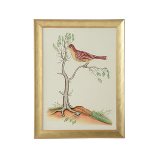 Hand-Painted Watercolor Birds by Bill Cain – Framed in Gold Wood, 25" x 19"