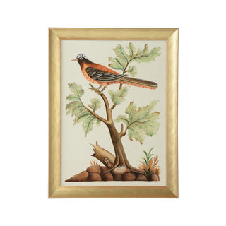 Hand-Painted Watercolor Birds by Bill Cain – Framed in Gold Wood, 25" x 19"