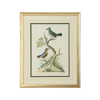 Cain Birds - Hand-Painted Watercolor Art by Bill Cain, Gold Wood Frame, 20" x 16"