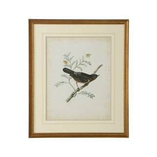 Delicate Birds Artwork Collection – Giclée Prints with Gold Frame and French Line Matting