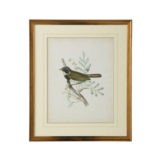 Delicate Birds Artwork Collection – Giclée Prints with Gold Frame and French Line Matting