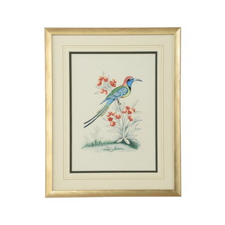 Cain Birds - Hand-Painted Watercolor Art by Bill Cain, Gold Wood Frame, 20" x 16"