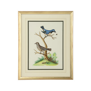 Cain Birds - Hand-Painted Watercolor Art by Bill Cain, Gold Wood Frame, 20" x 16"