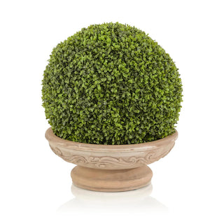 French Topiary JRB-5267