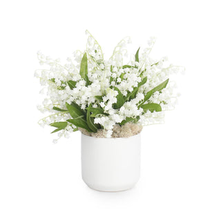 Lily of the Valley JRB-5513