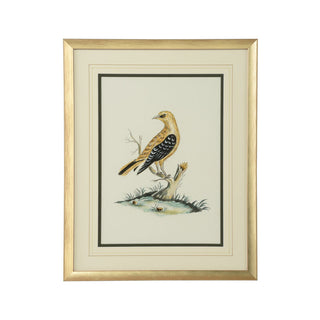 Cain Birds - Hand-Painted Watercolor Art by Bill Cain, Gold Wood Frame, 20" x 16"