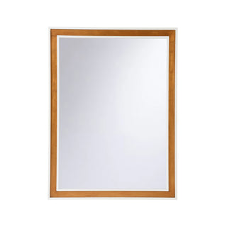 Baldwin Mirror with Antique Gold Leaf Finish – Modern and Traditional Wall Mirror