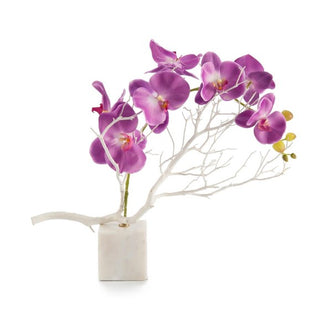 Marble Orchids JRB-3635