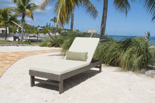 Poolside Chaise Lounge