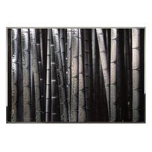 Load image into Gallery viewer, Bambu