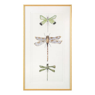 Joy Colangelo's Joyful Dragonflies I GBG-2492A