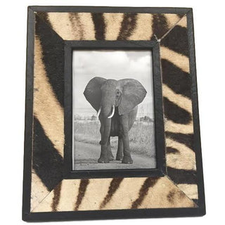 Zebra Picture Frame