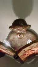 Load image into Gallery viewer, MONKEY BOOK SCONCE-8111-19