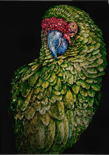 Load image into Gallery viewer, PARROT FRED
