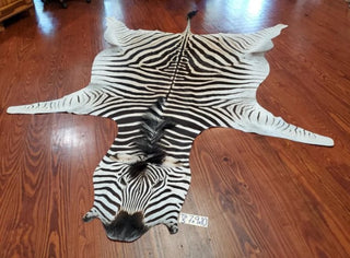 ZEBRA SKIN RUG - TG5